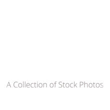 Photo CDs